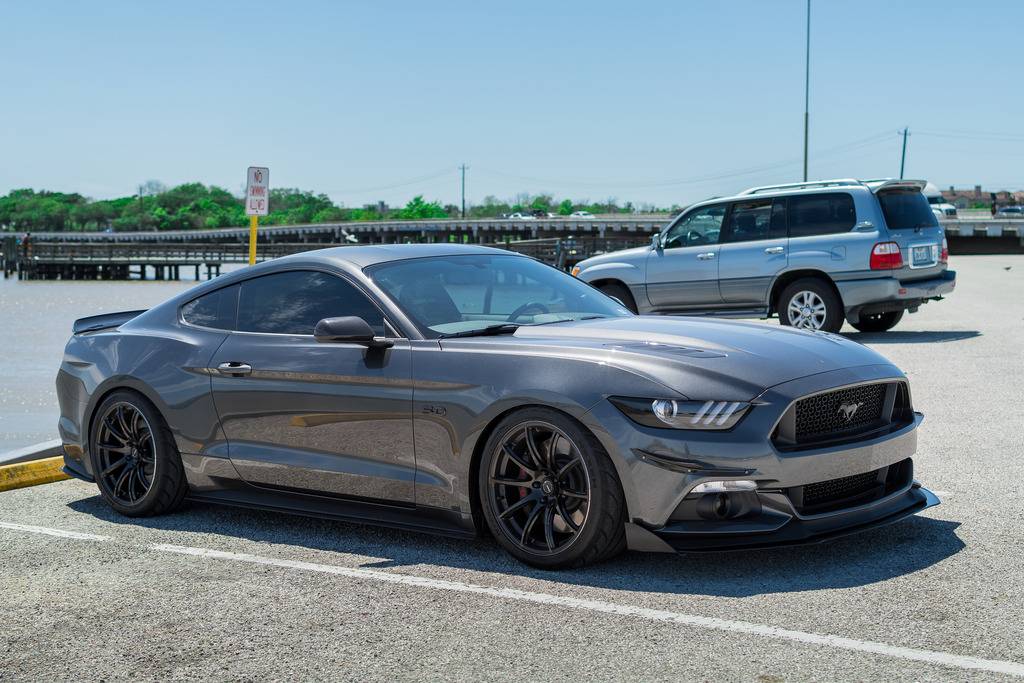 NPP_9694_zpshi01ycxp.jpg