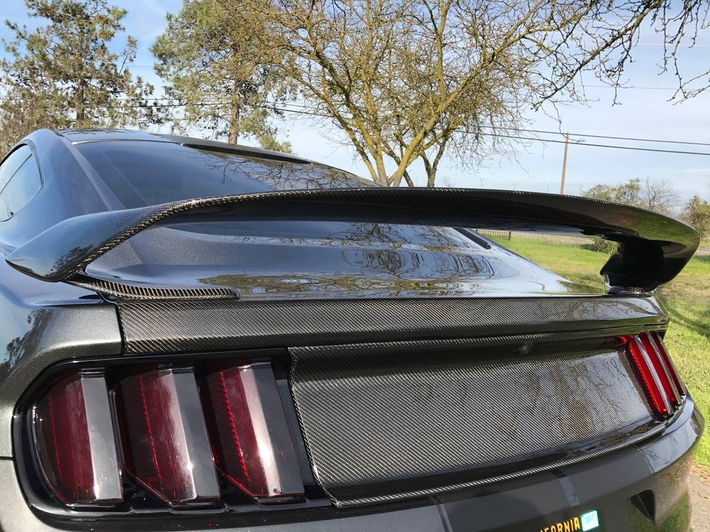 Carbon%20Trunk%20Day%208_zpsbig2o3ph.jpg
