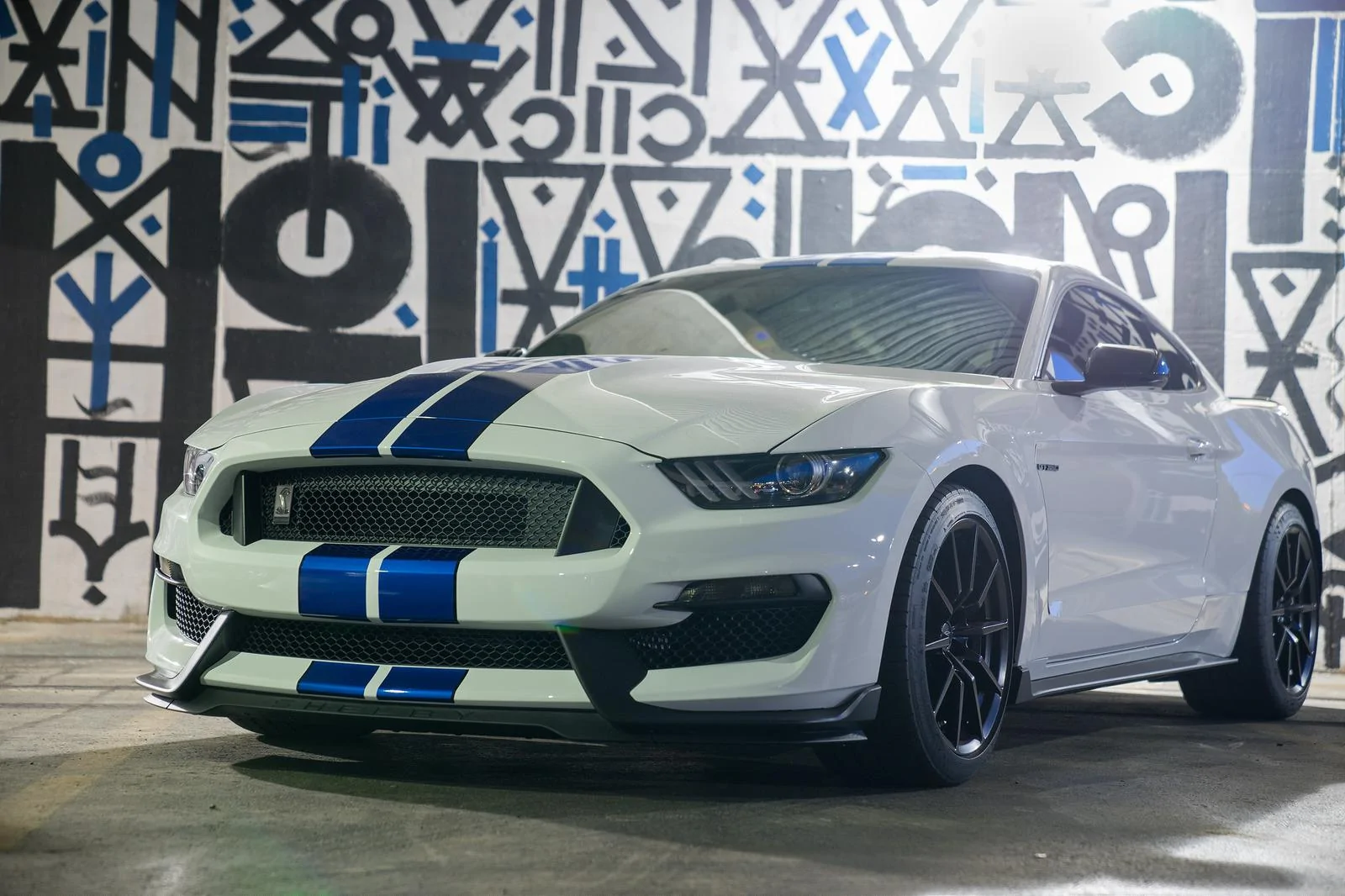 33538980550_4c40d4ee67_h.webp