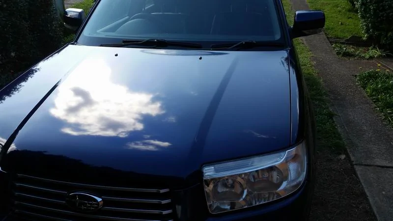 forester.webp