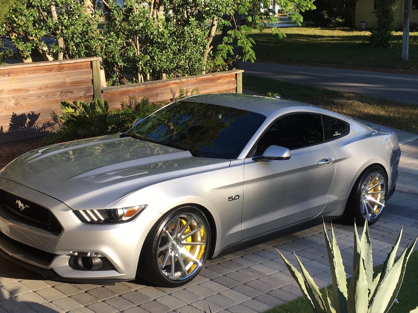 attachment.jpg