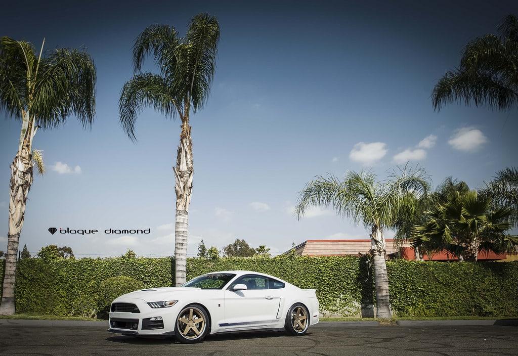 ford-mustang-s550-gt-blaque-diamond-bd21-bronze-wheels.jpg