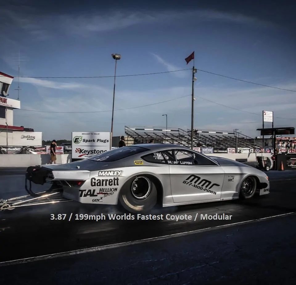 silver%20bullet%20FL%20WF.webp