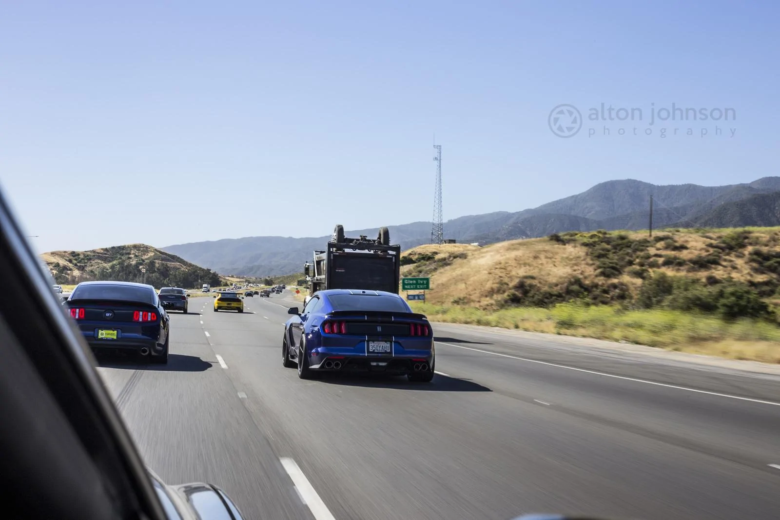 33507910814_f04495752a_k.webp
