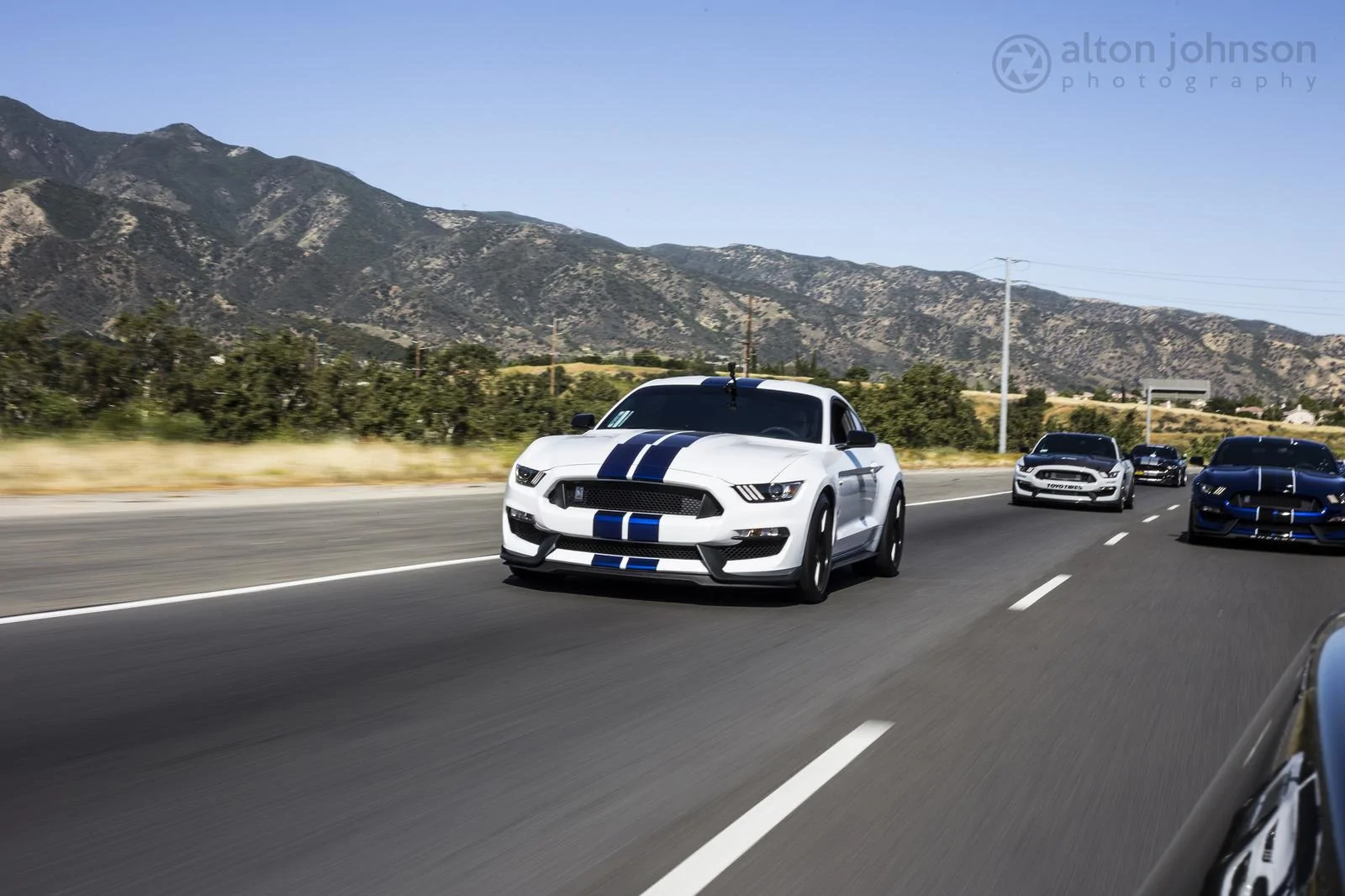 33507906244_8c979c4400_k.webp