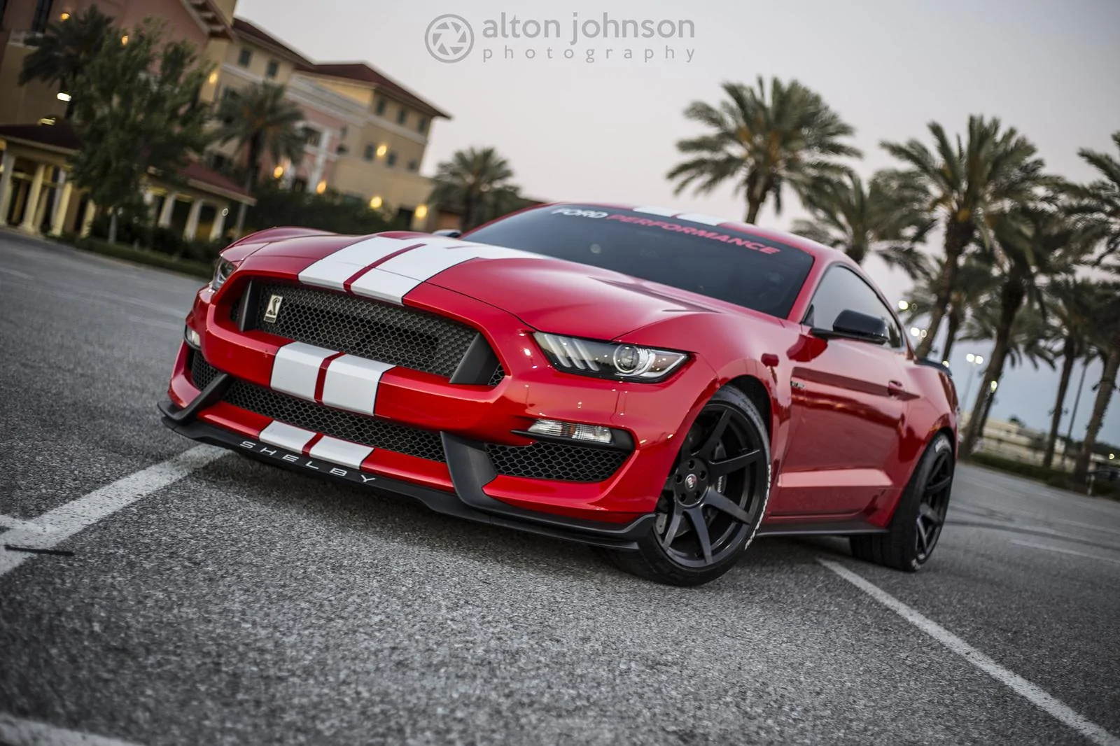 34498872515_540e6f69a7_k.webp