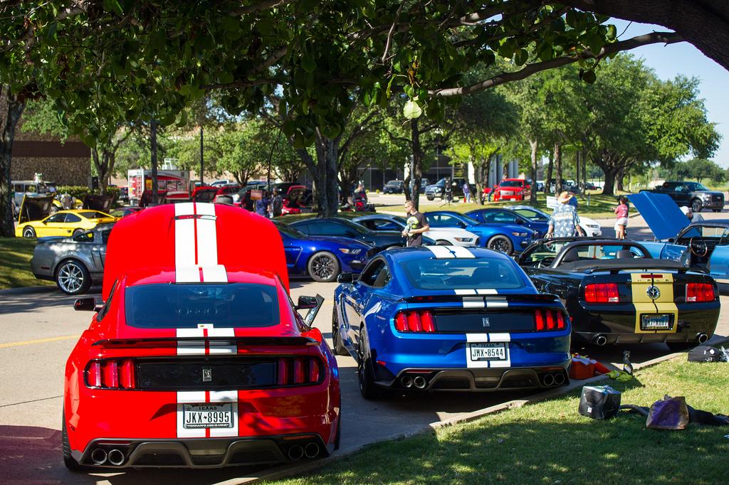 34470485746_f9f400e17e_b.jpg