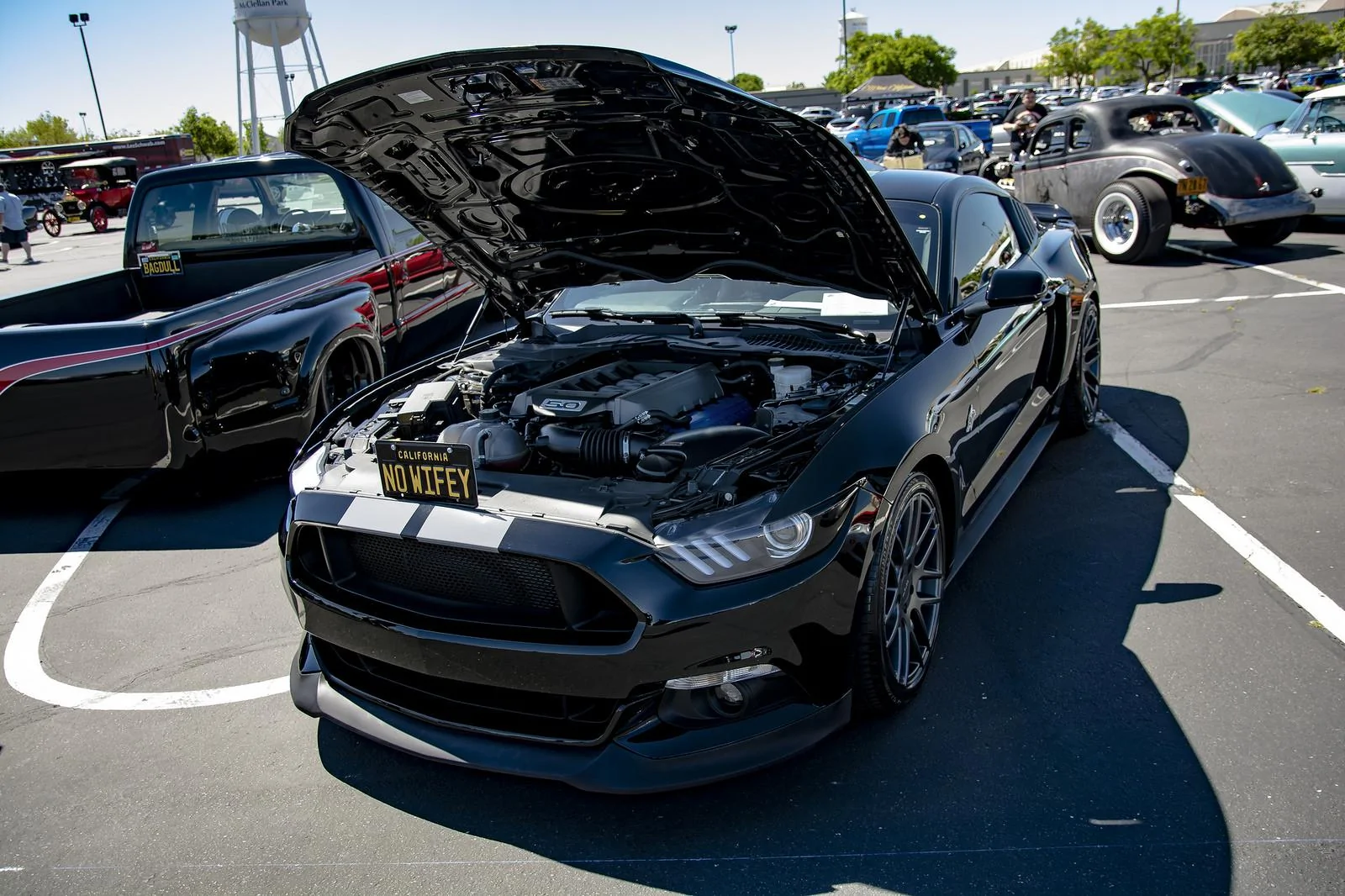 34369762095_0e498f05e0_h.webp
