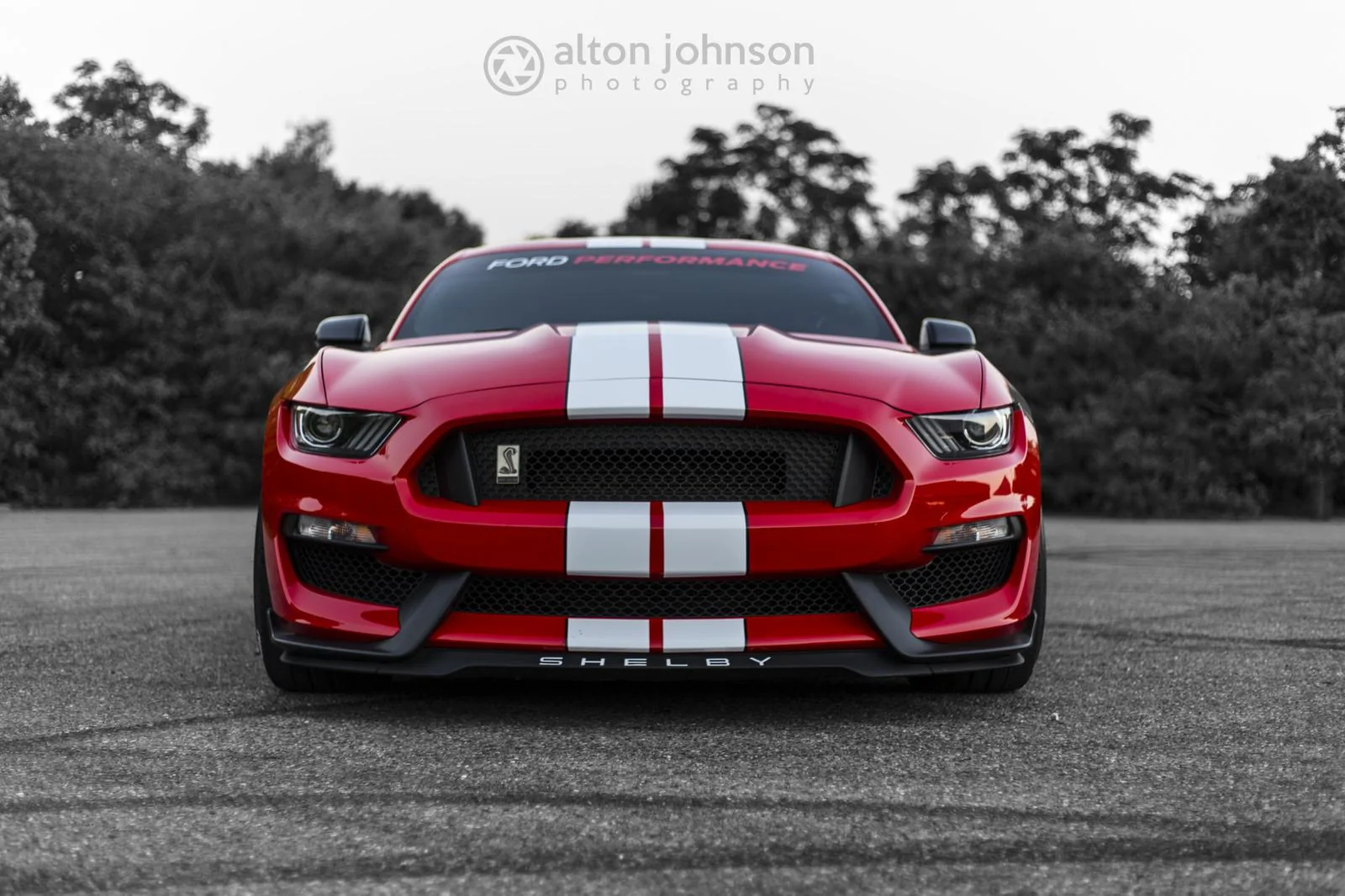 34218192470_1b2417f193_k.webp
