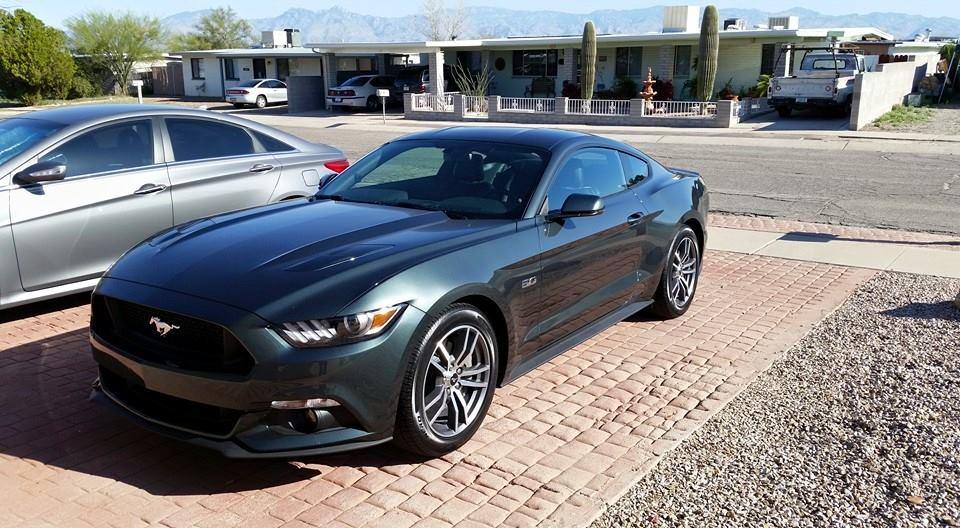 Mustang.jpg