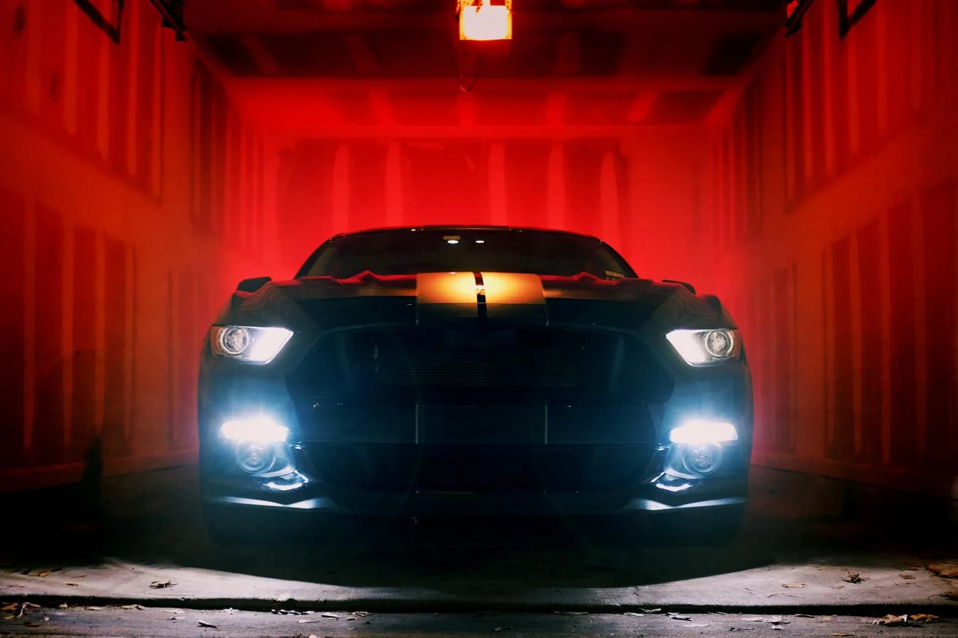 mustang02.webp