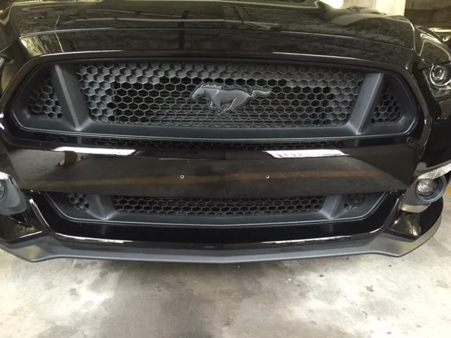 Grille PD.webp