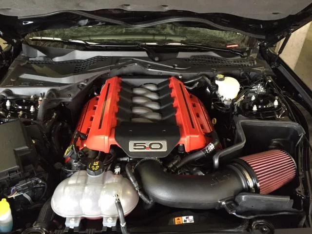 Under Hood.webp