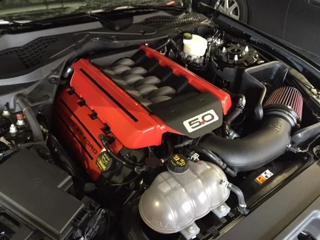 Under Hood1.webp