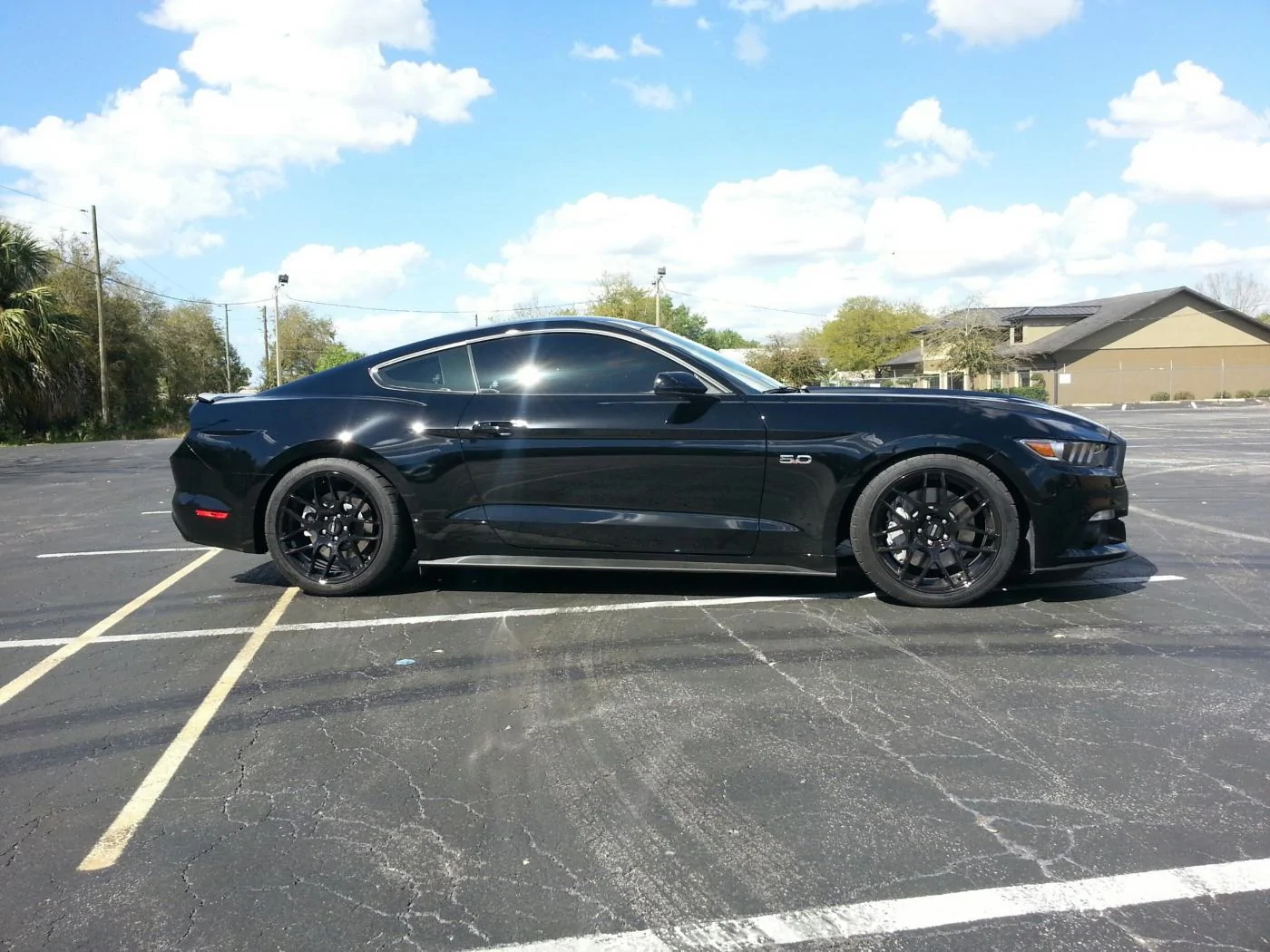 20150310_154833_resized+1.webp