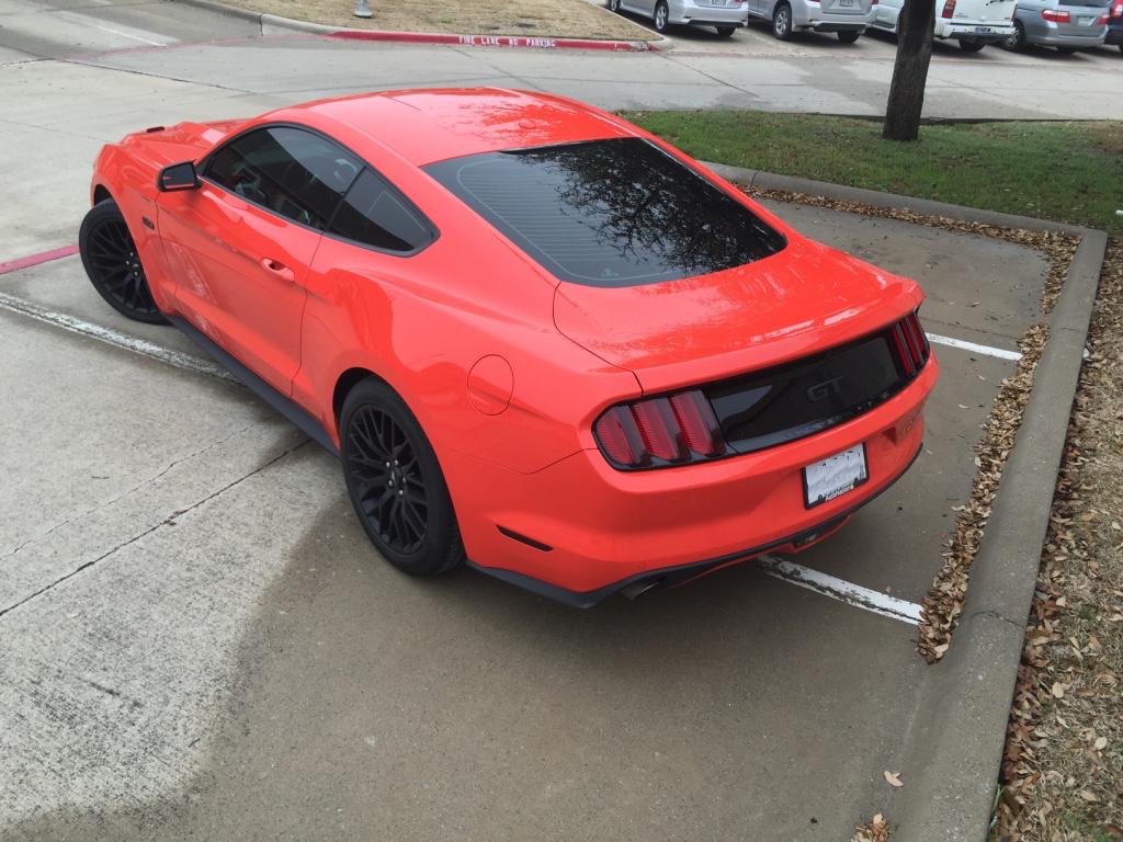thumb_IMG_1521_1024.jpeg