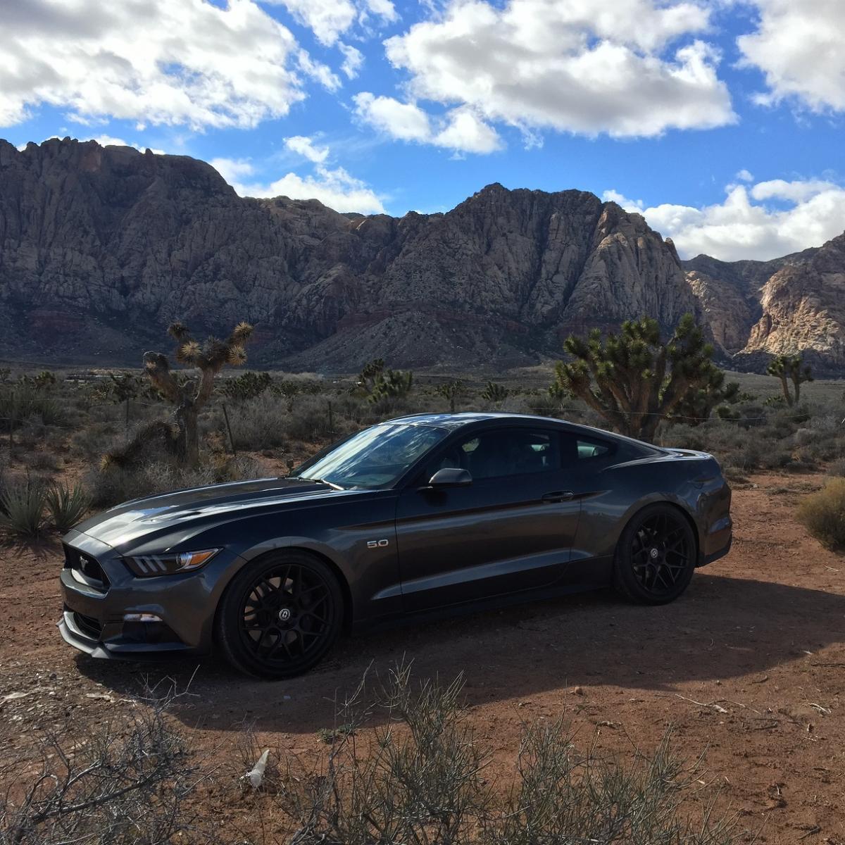 Red Rock.jpg