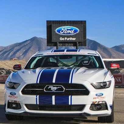 2stang1.webp