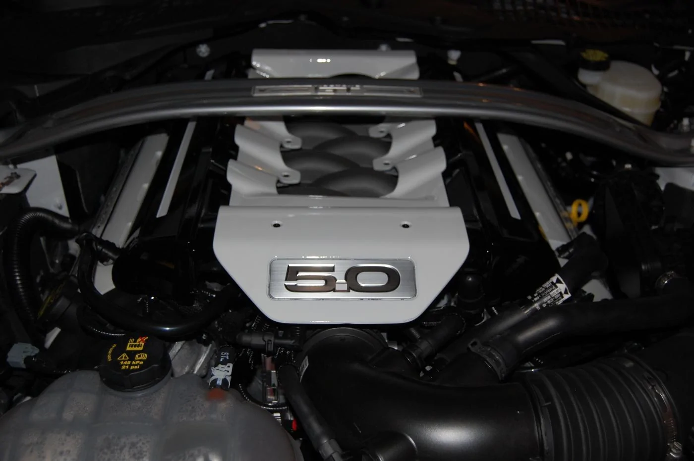 DSC_0262.webp