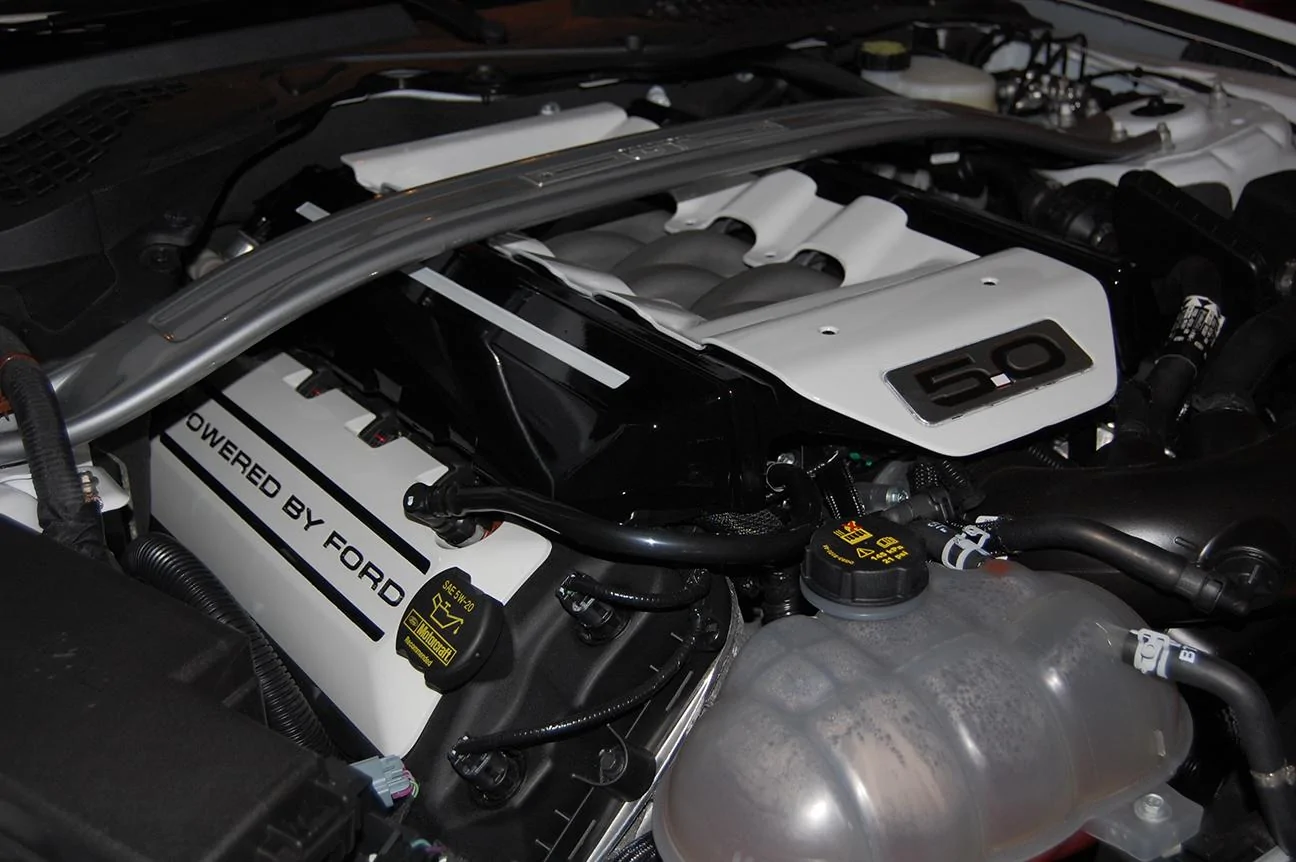 DSC_0261 2.webp