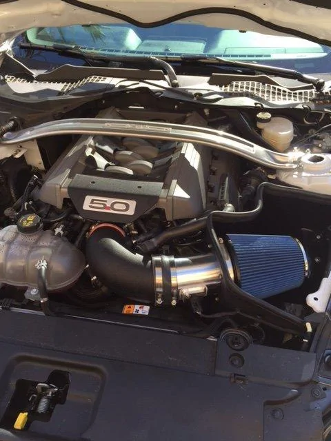image1.webp