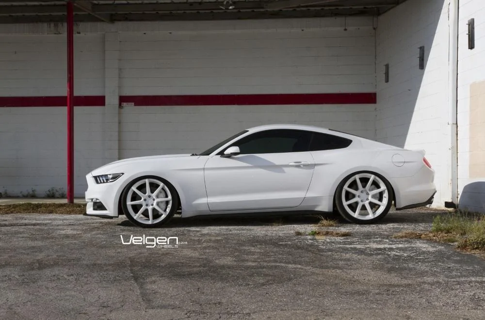 white in white.webp