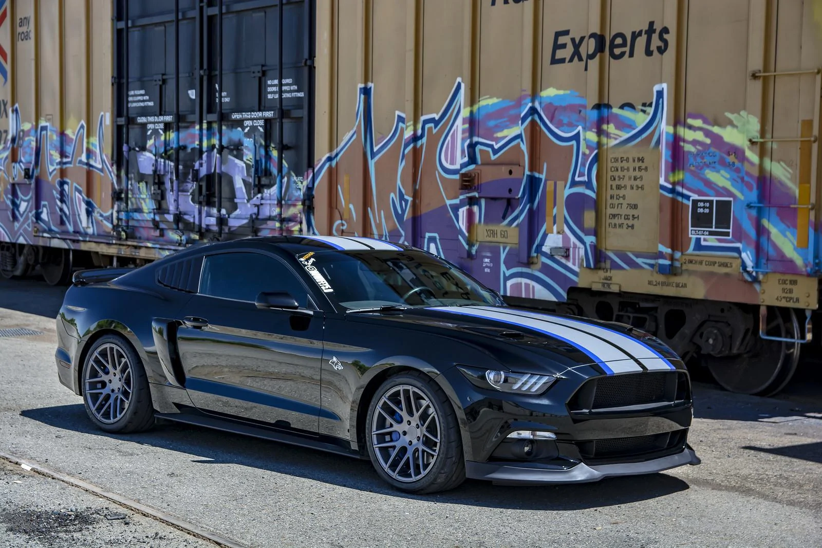 34532252931_d6392b0e91_h.webp