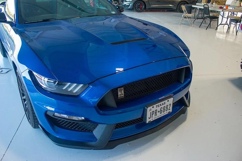 34941172326_c4b6e8229f_c.webp