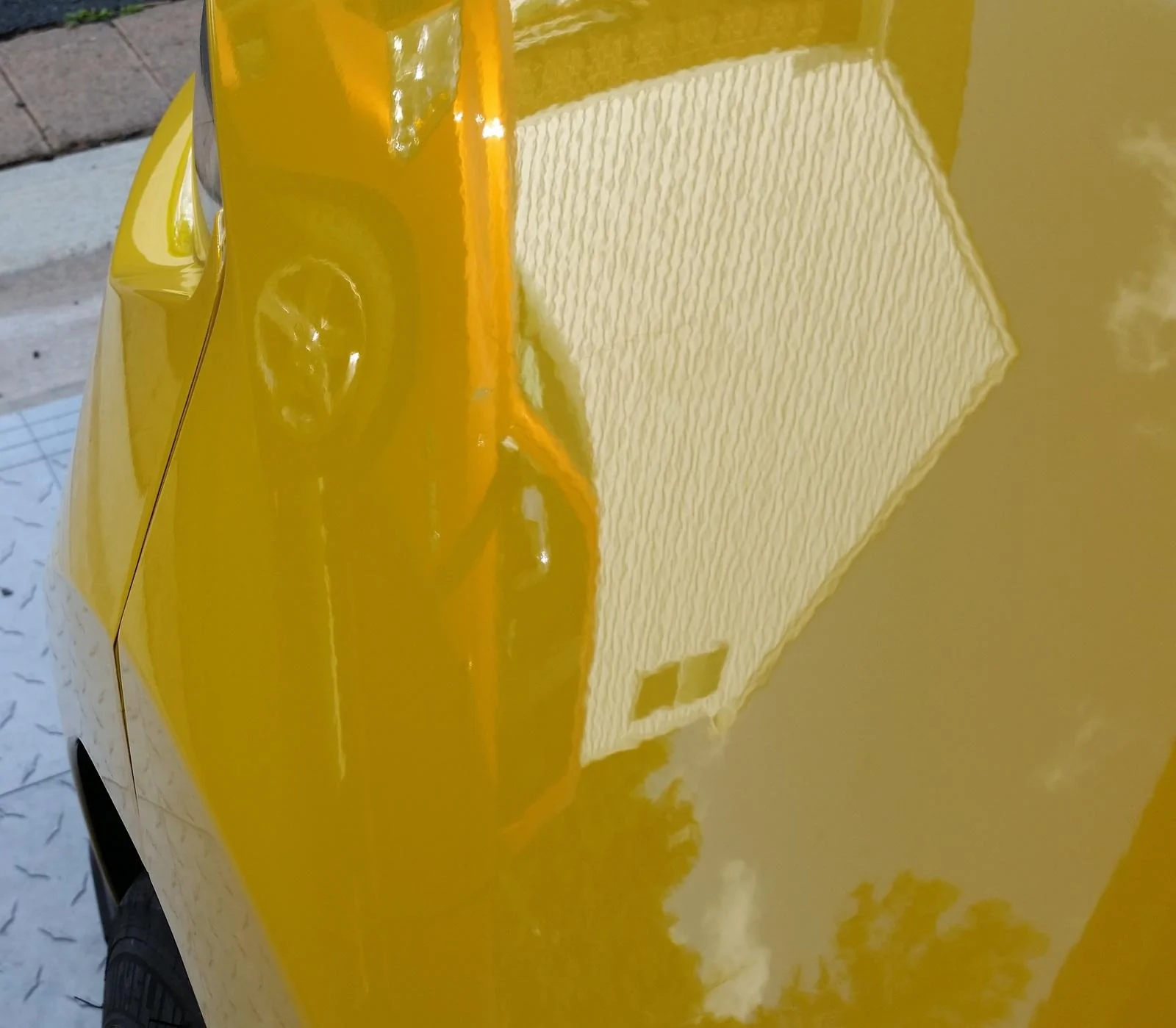 bumper6.webp