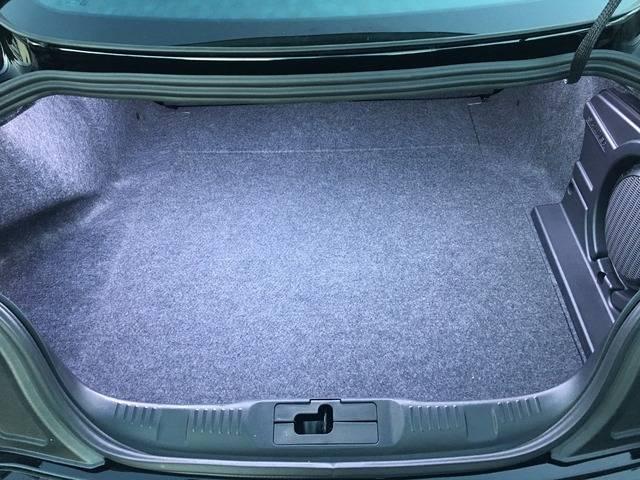 Trunk%20lights%202.jpg