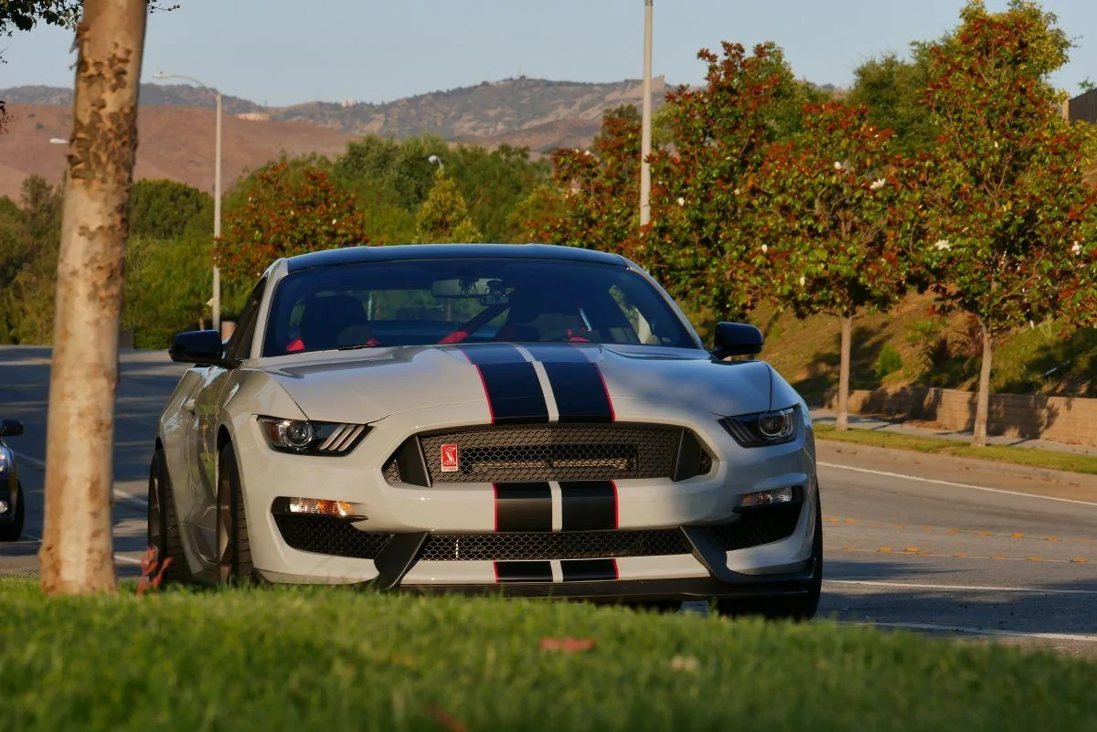 P1080058.webp
