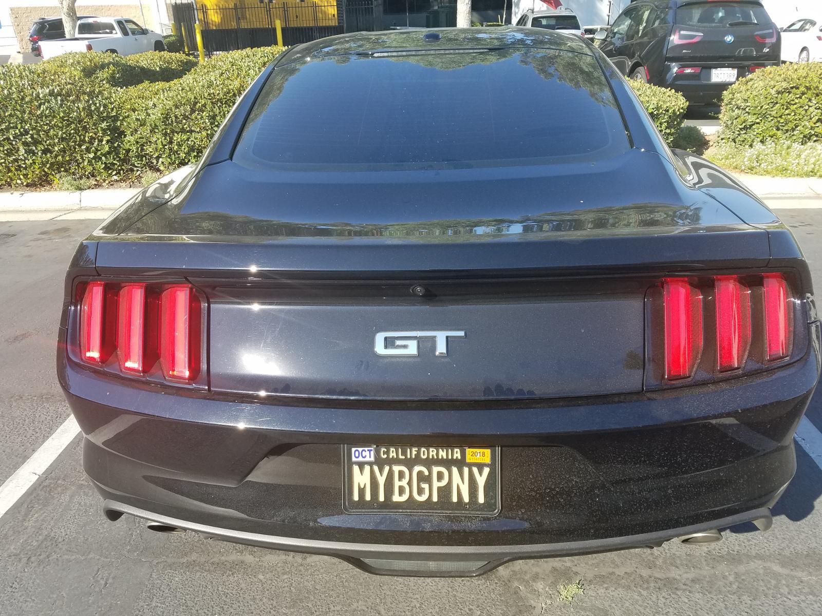 mybgpny.jpg
