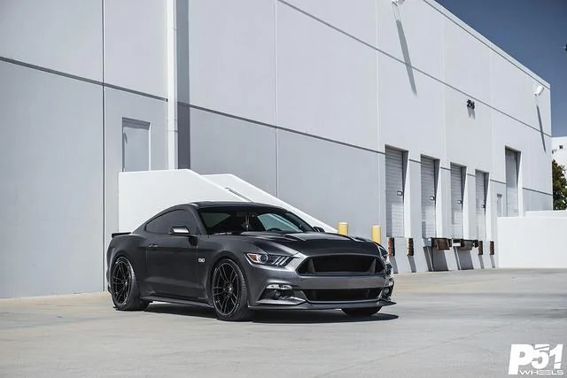 p51-8m.webp