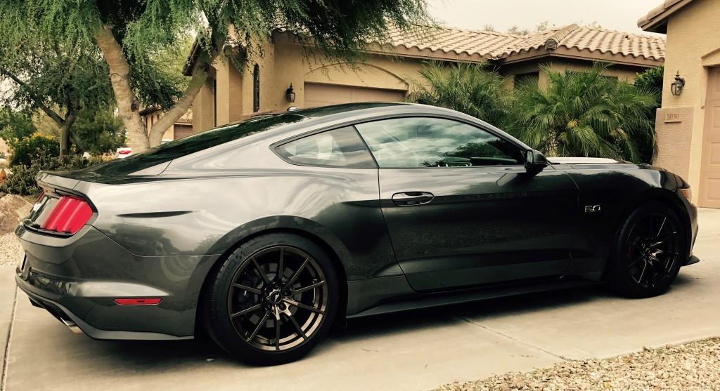 Mustang02.jpg