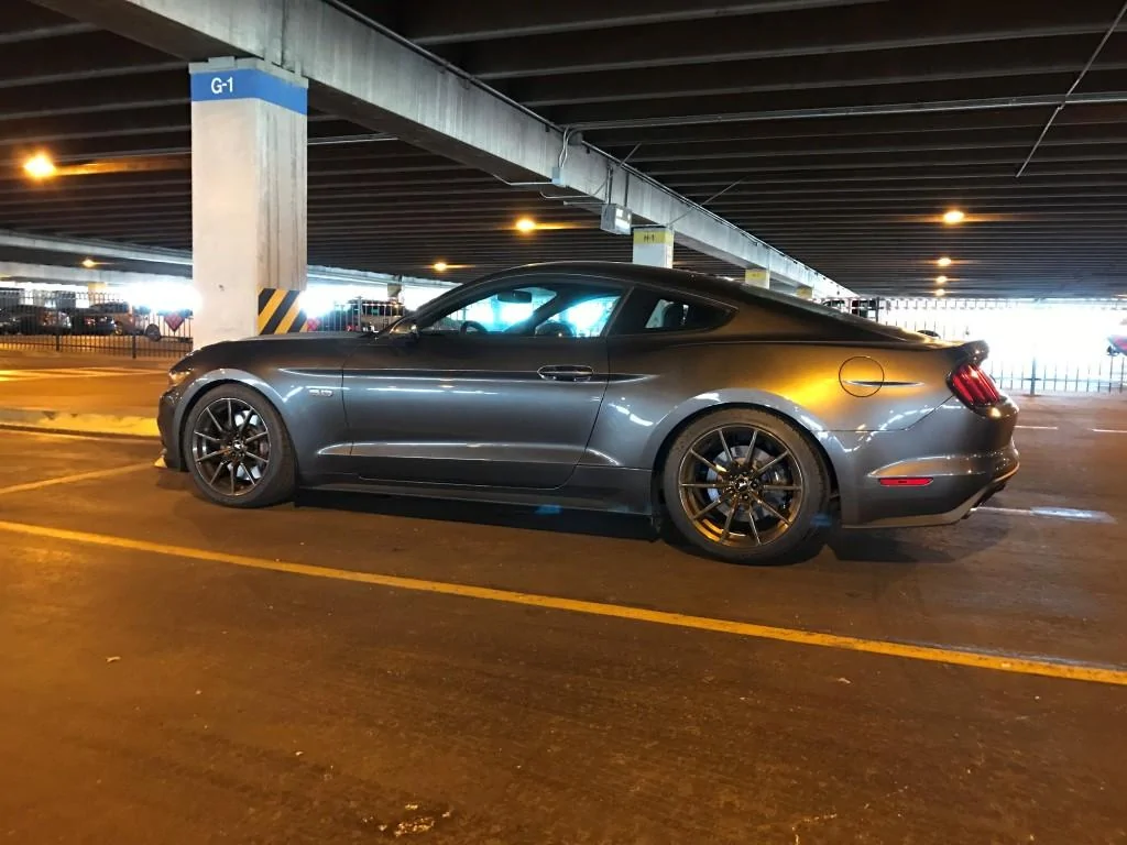 Mustang03.webp