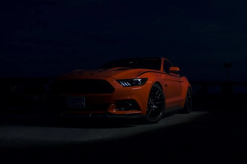 35706104925_e0e56cb968_c.webp