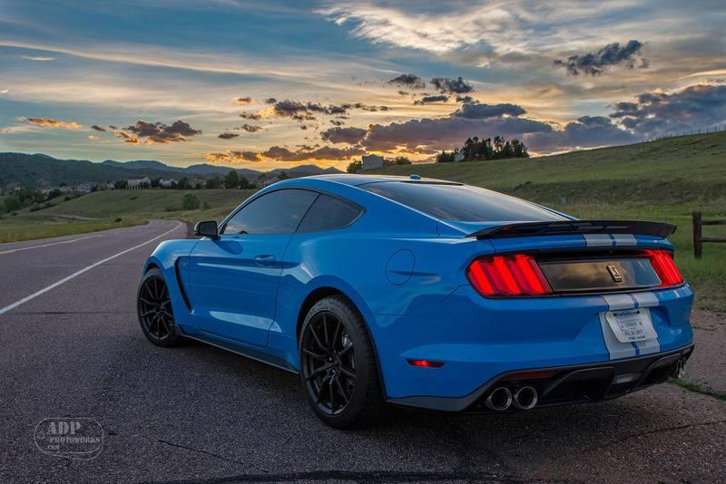 GT350-2.jpg