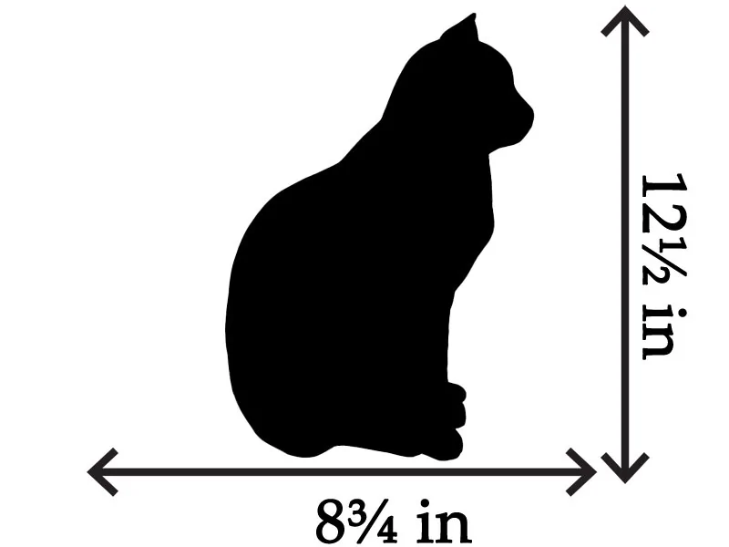 CAST-PETRIBUTES_CAT_dimensions_US.webp