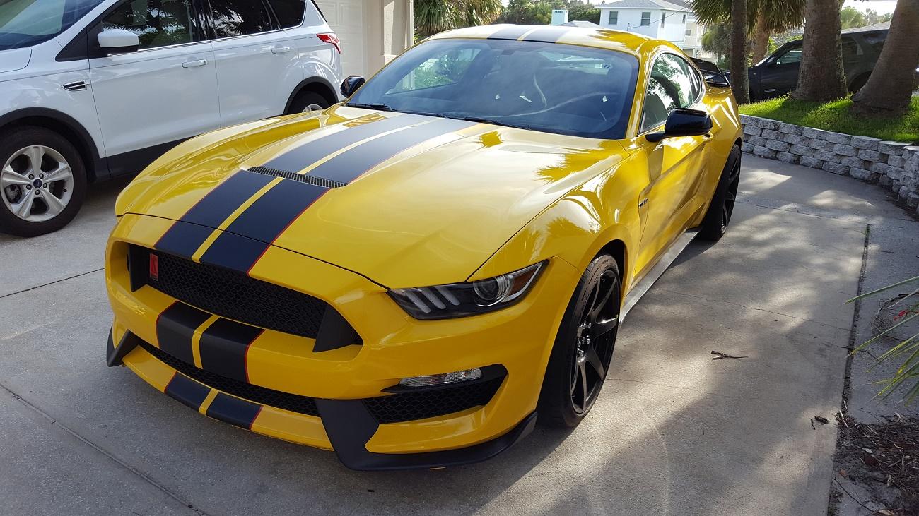 picture.jpg