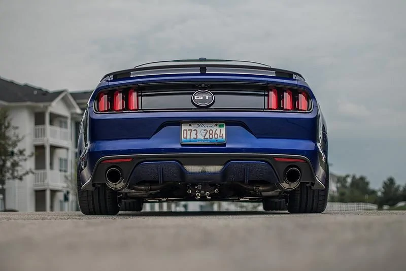 35067935744_81dd77fe31_c.webp