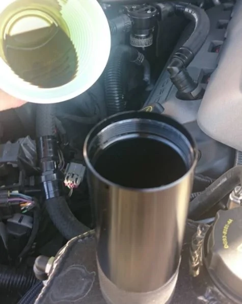 35913444255_e0bb6ee80d_o_d.webp