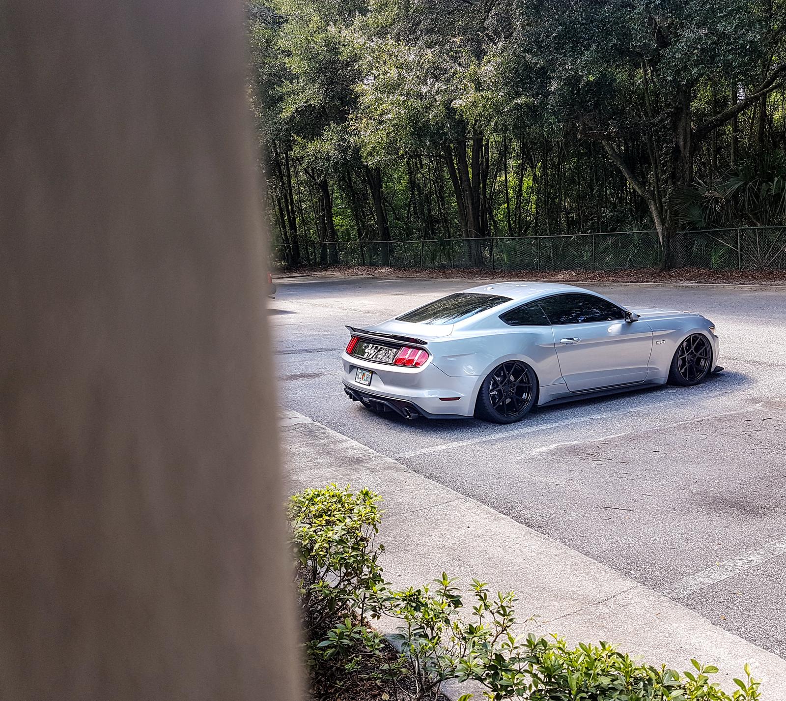 Bagged.jpg