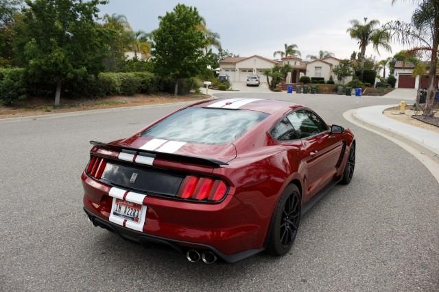 IMG_2619.jpg