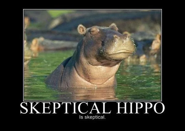 hAY2R.webp