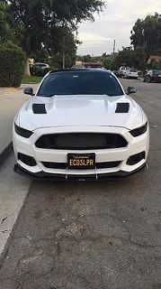 35368263054_f0d70db62c_n.webp