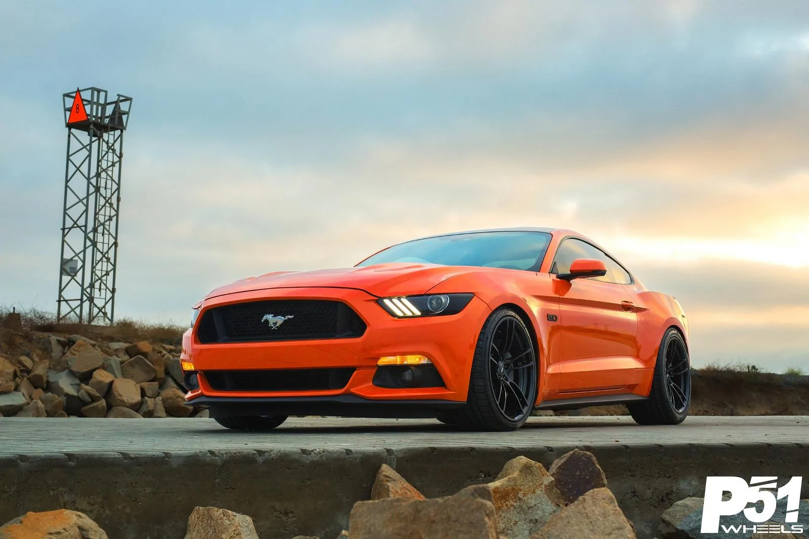 36274486806_c700d7d46c_h.webp