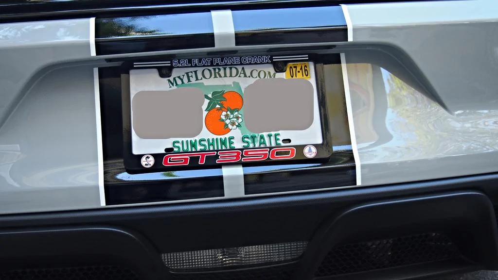 24512985449_631d0b2cd0_b.webp