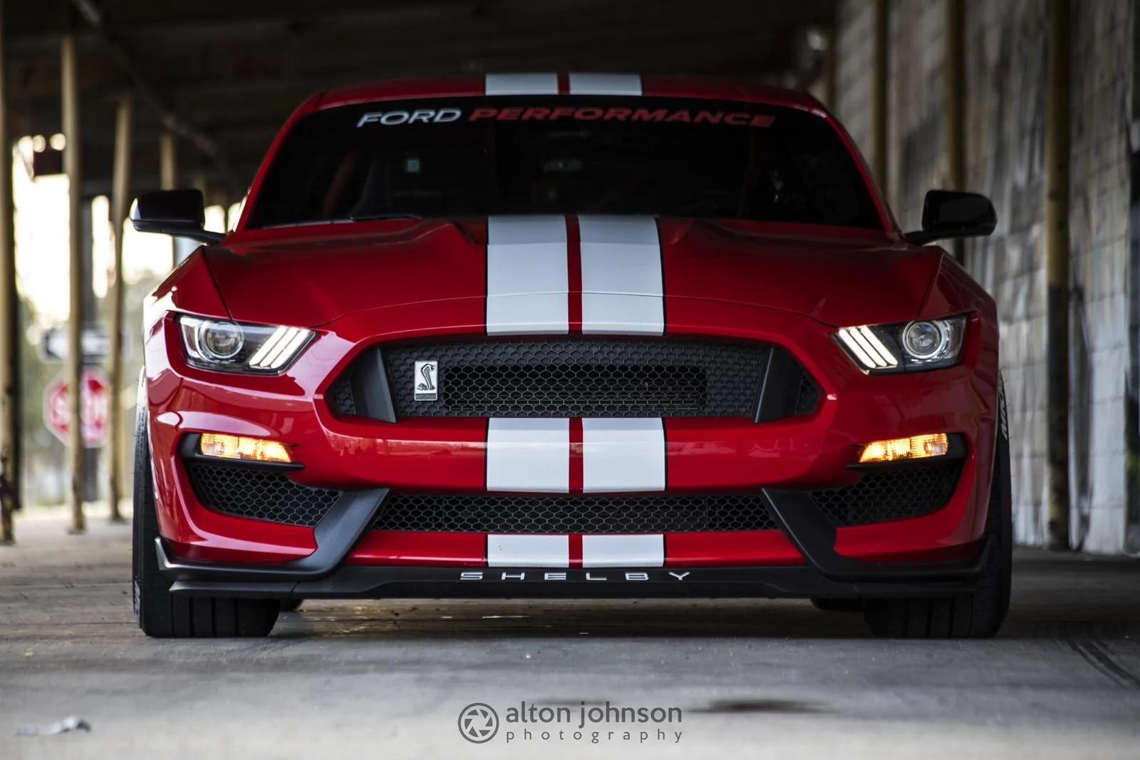 35610495093_af969c6c51_k.webp