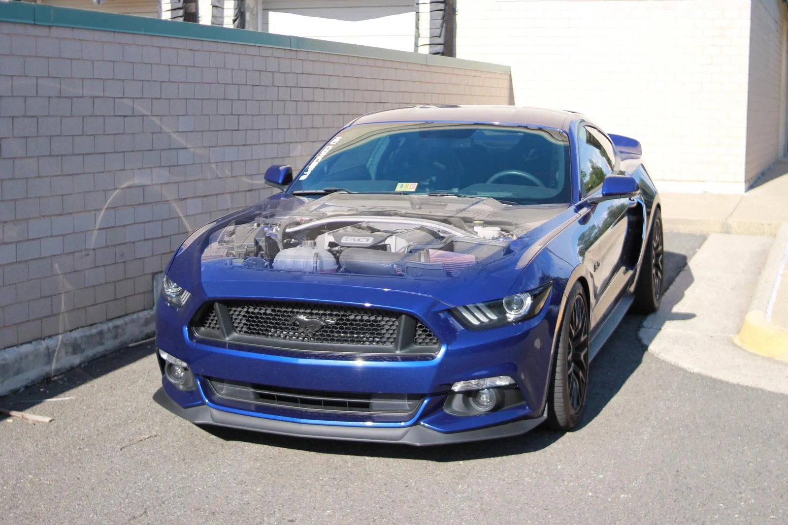 IMG_7033_copy.webp