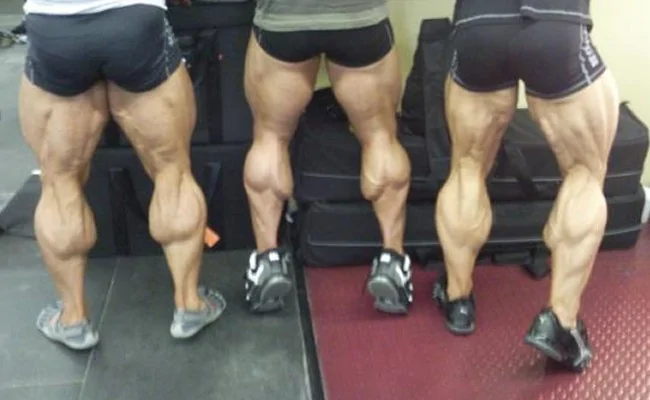 muscular-calves.webp